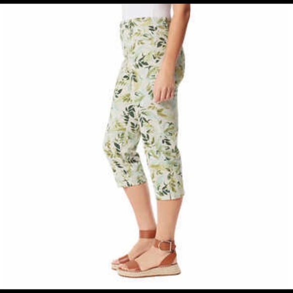 Gloria Vanderbilt Printed Amanda Capri DenimPants, Green (Stonewood Palm Jungle) - Picture 2 of 6